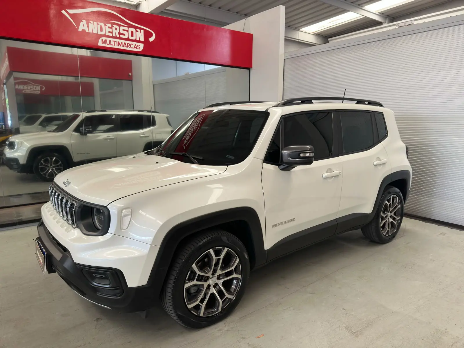 RENEGADE LGTD T270