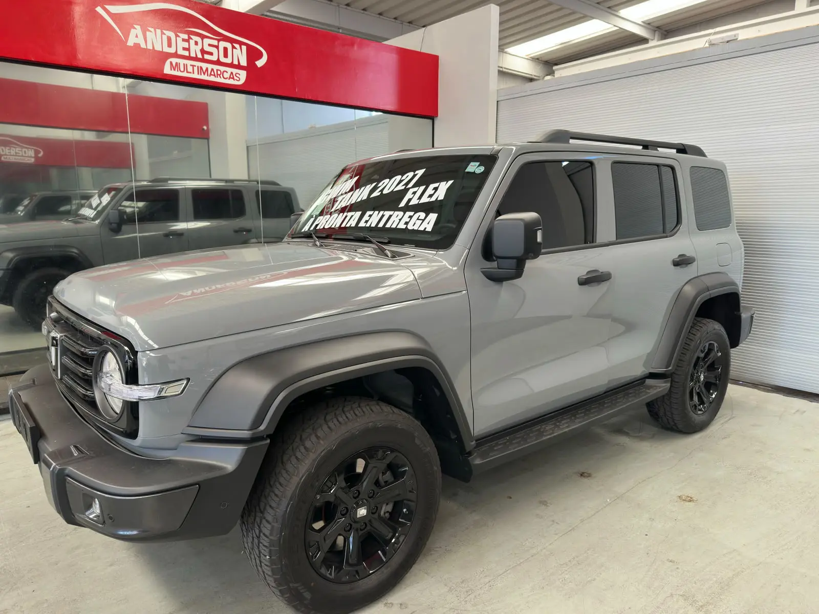 GWM 300