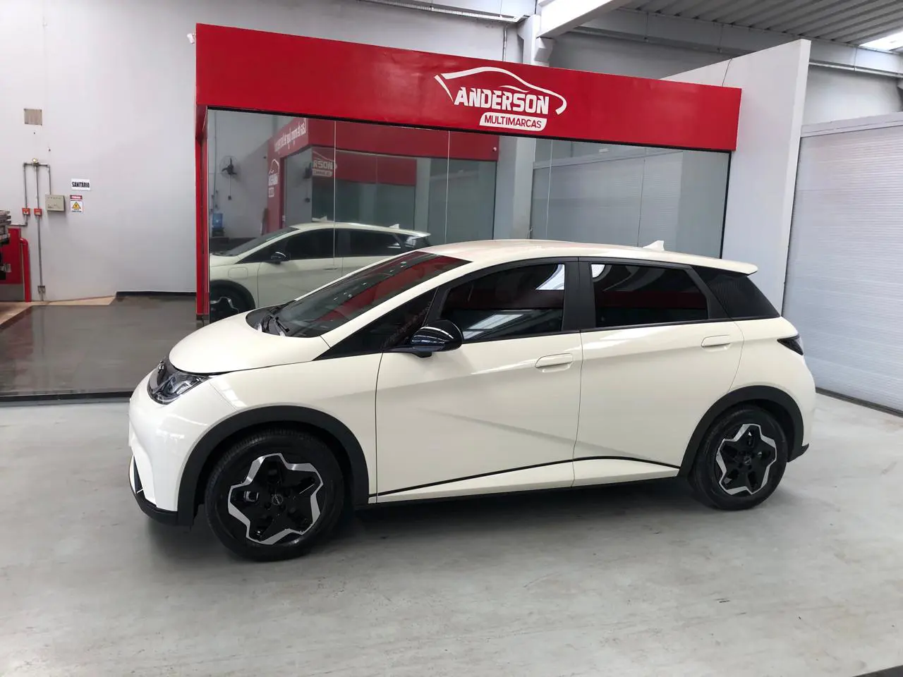 BYD DOLPHIN
