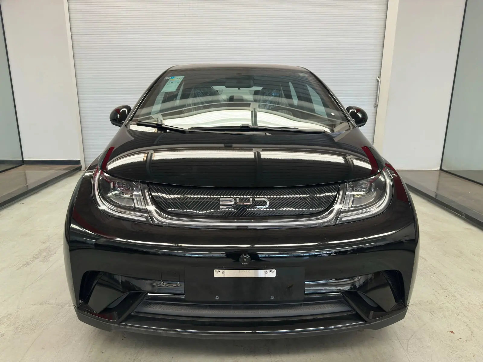 BYD DOLPHIN a venda na Anderson Multimarcas
