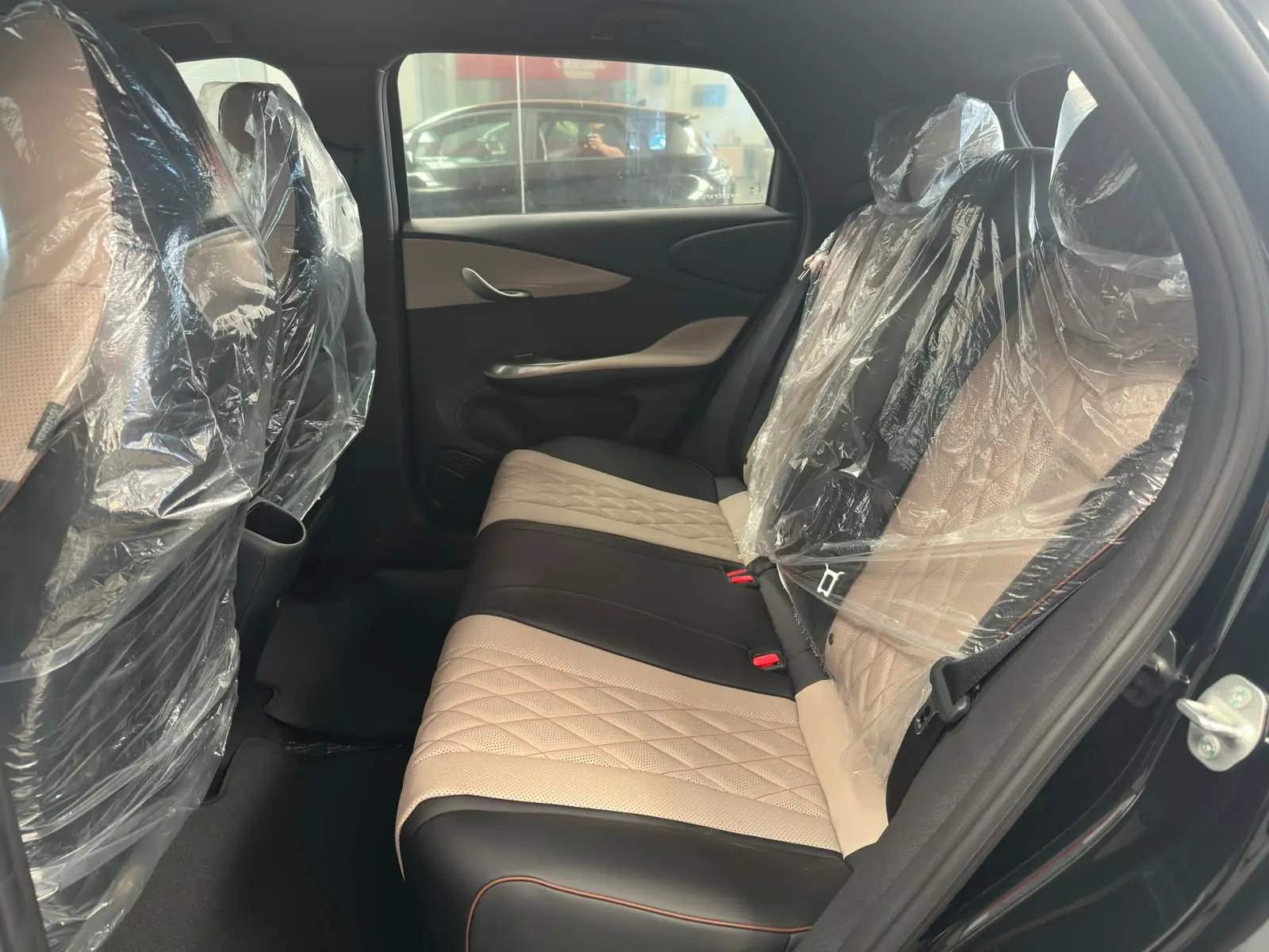 BYD DOLPHIN a venda na Anderson Multimarcas